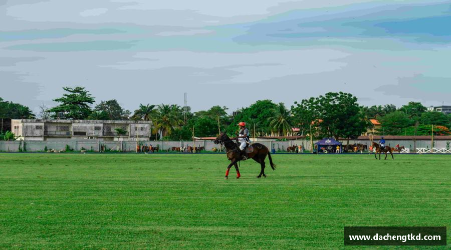 球盟会平台青春梦想，汇聚体育